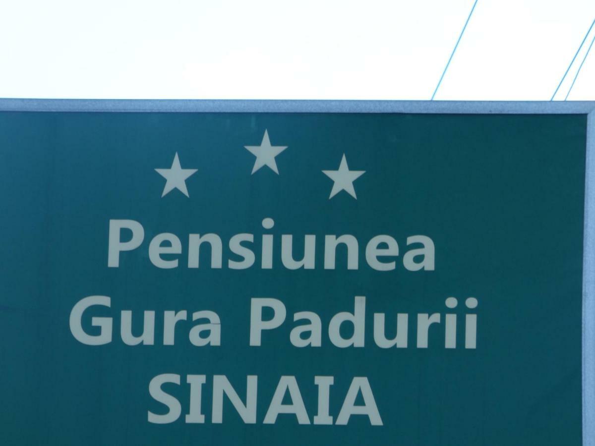 锡纳亚 Gura Padurii酒店 外观 照片